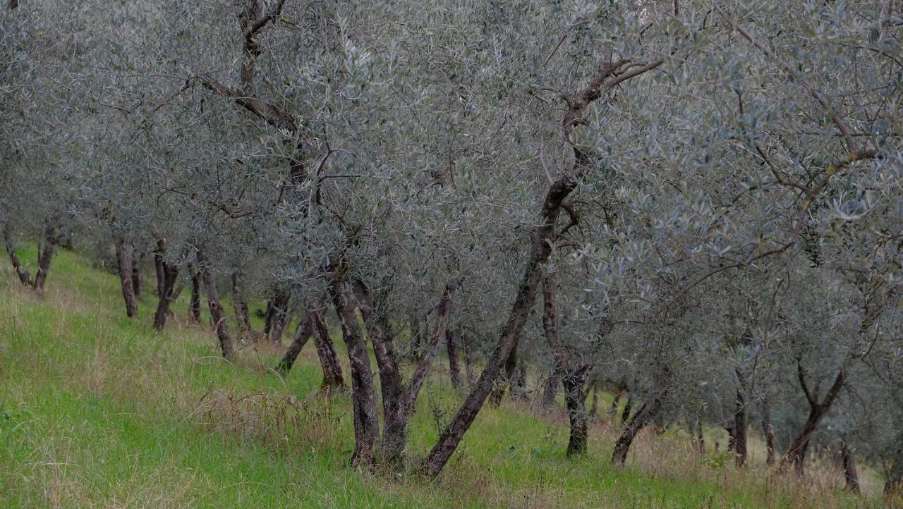 Agriturismo Il Casaletto Montefranco Buitenkant foto