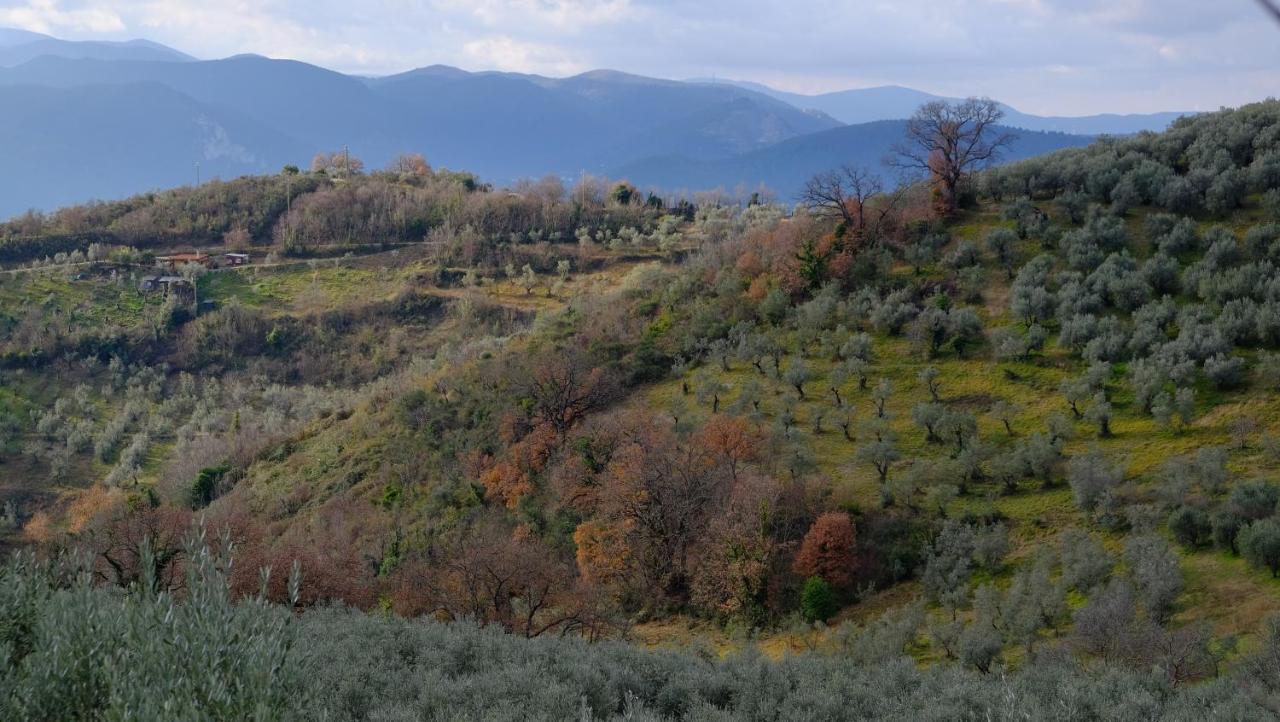 Agriturismo Il Casaletto Montefranco Buitenkant foto