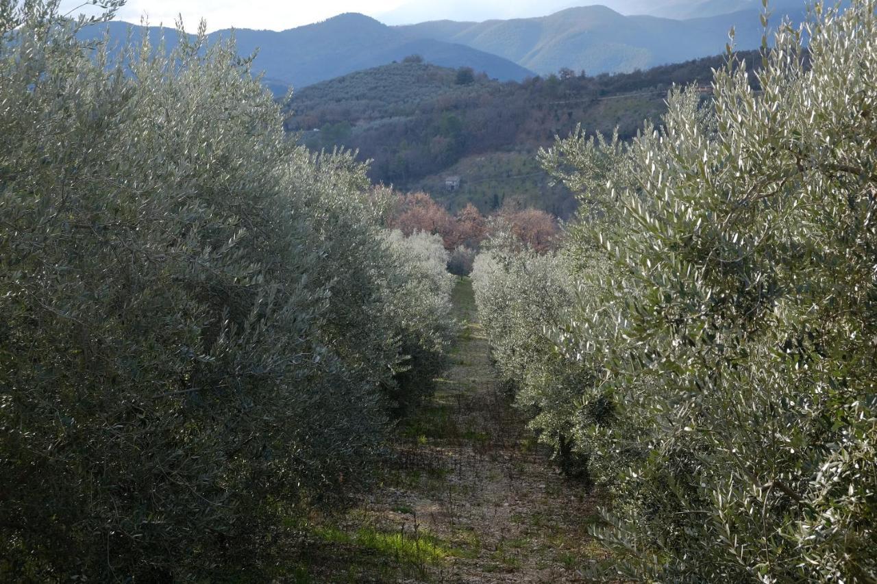 Agriturismo Il Casaletto Montefranco Buitenkant foto