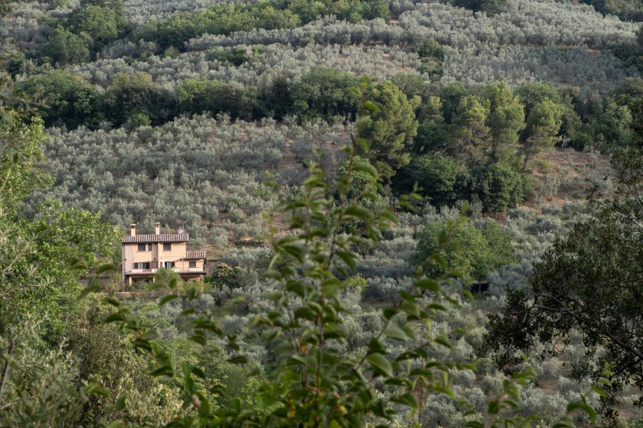 Agriturismo Il Casaletto Montefranco Buitenkant foto