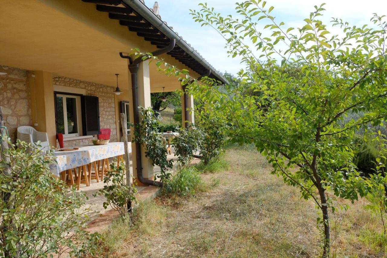 Agriturismo Il Casaletto Montefranco Buitenkant foto