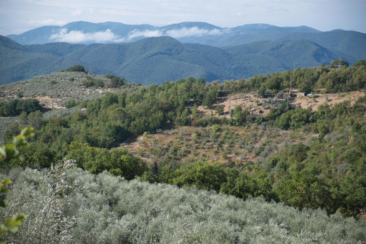 Agriturismo Il Casaletto Montefranco Buitenkant foto