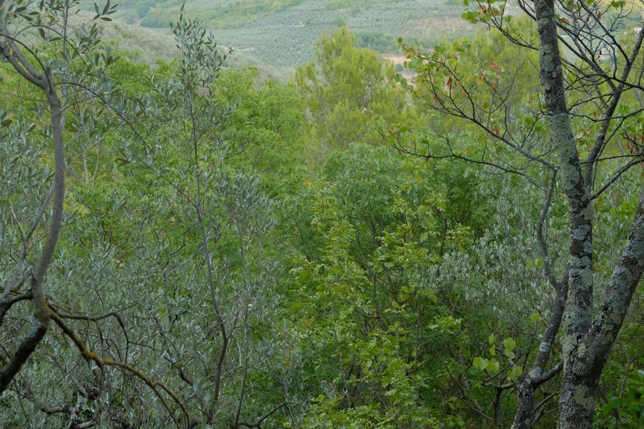 Agriturismo Il Casaletto Montefranco Buitenkant foto