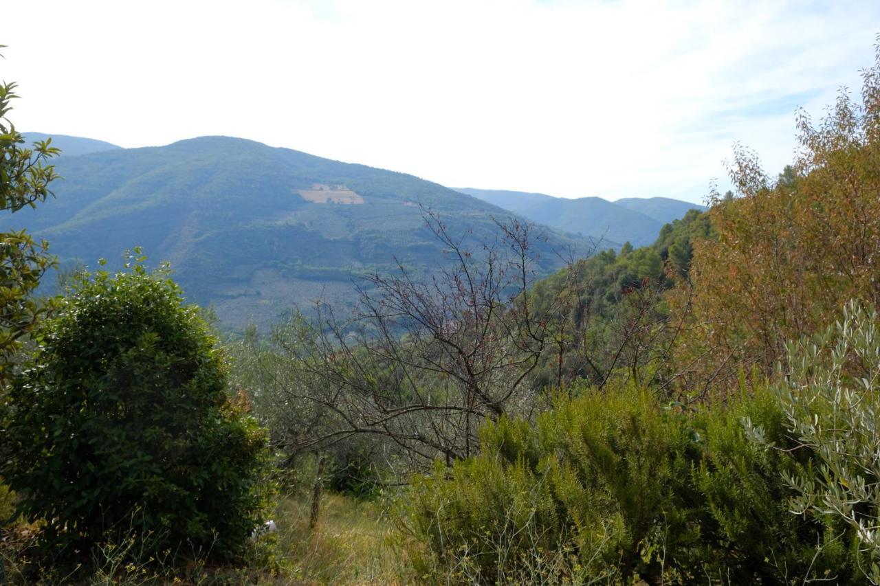 Agriturismo Il Casaletto Montefranco Buitenkant foto